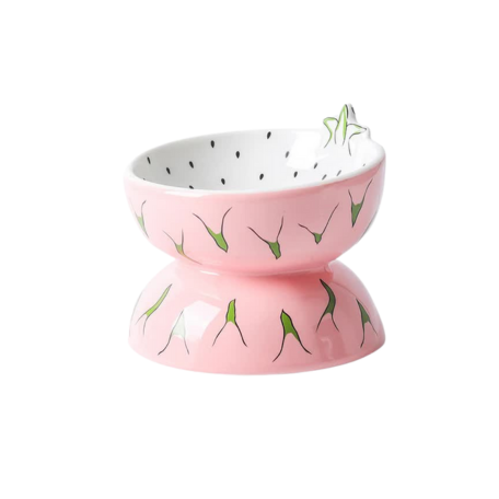Ceramic Elevated Pet Food Bowl for Cats and Dogs