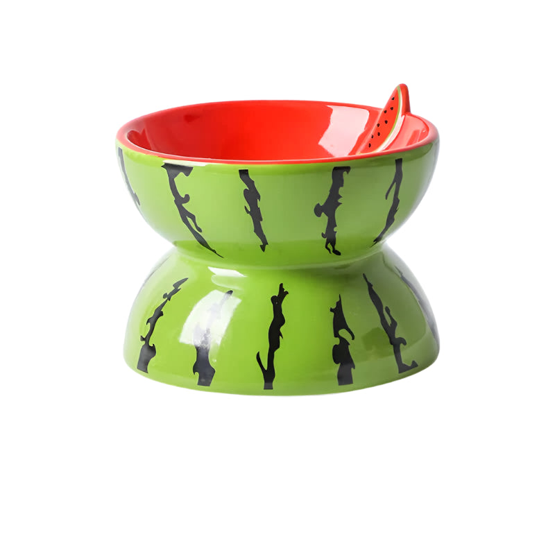 Melon Ceramic Elevated Pet Food Bowl for Cats and Dogs