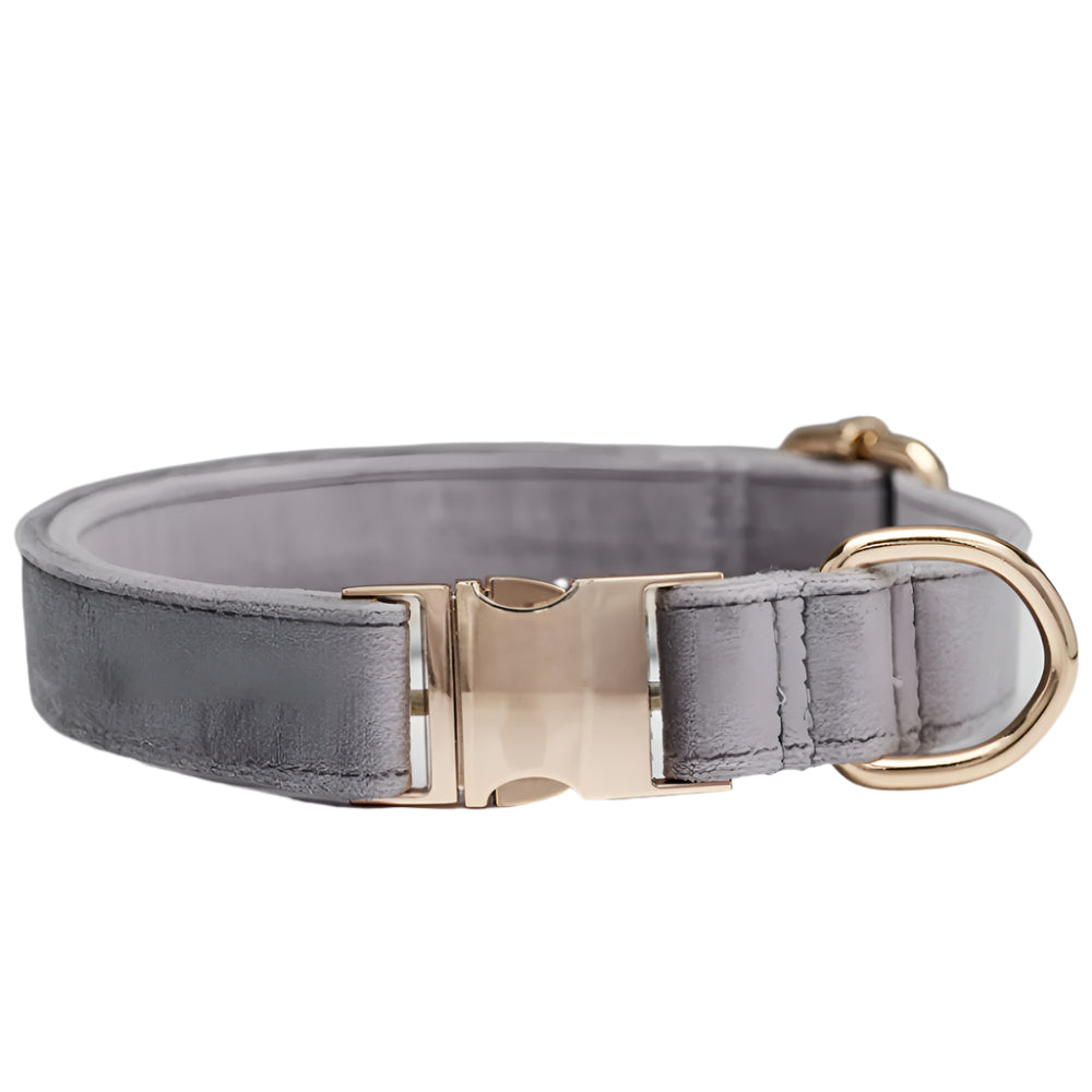 Grey Durable Dog Collar with Metal Buckle - XS