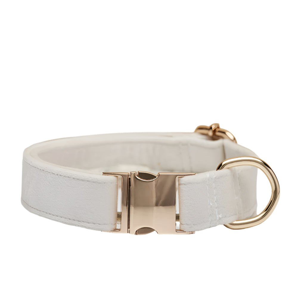 Beige Durable Dog Collar with Metal Buckle -M