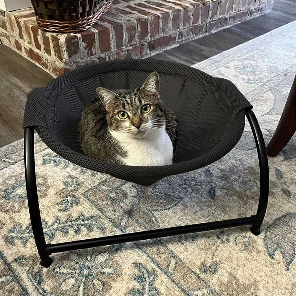 Elevated Cat Bed Dog Bed Pet Hammock Bed