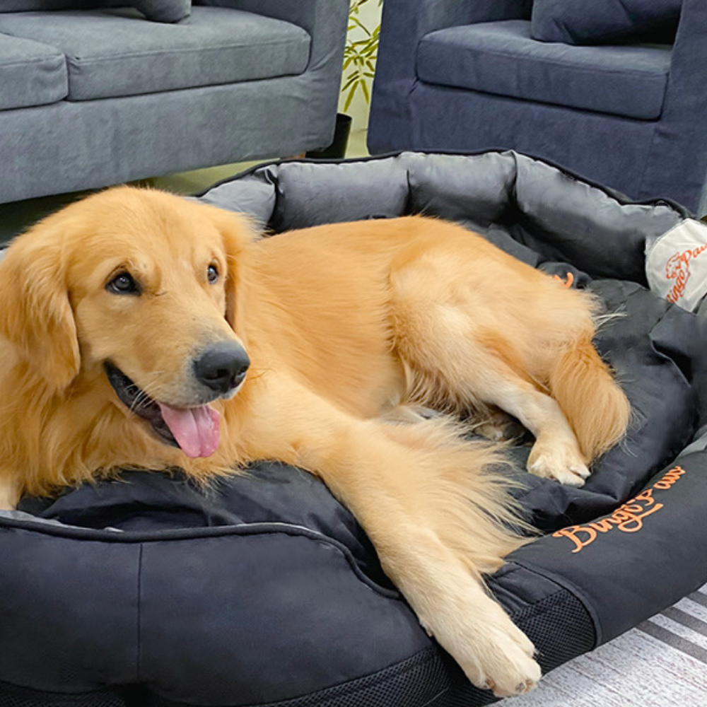 Waterproof Jumbo Orthopedic Dog Sofa