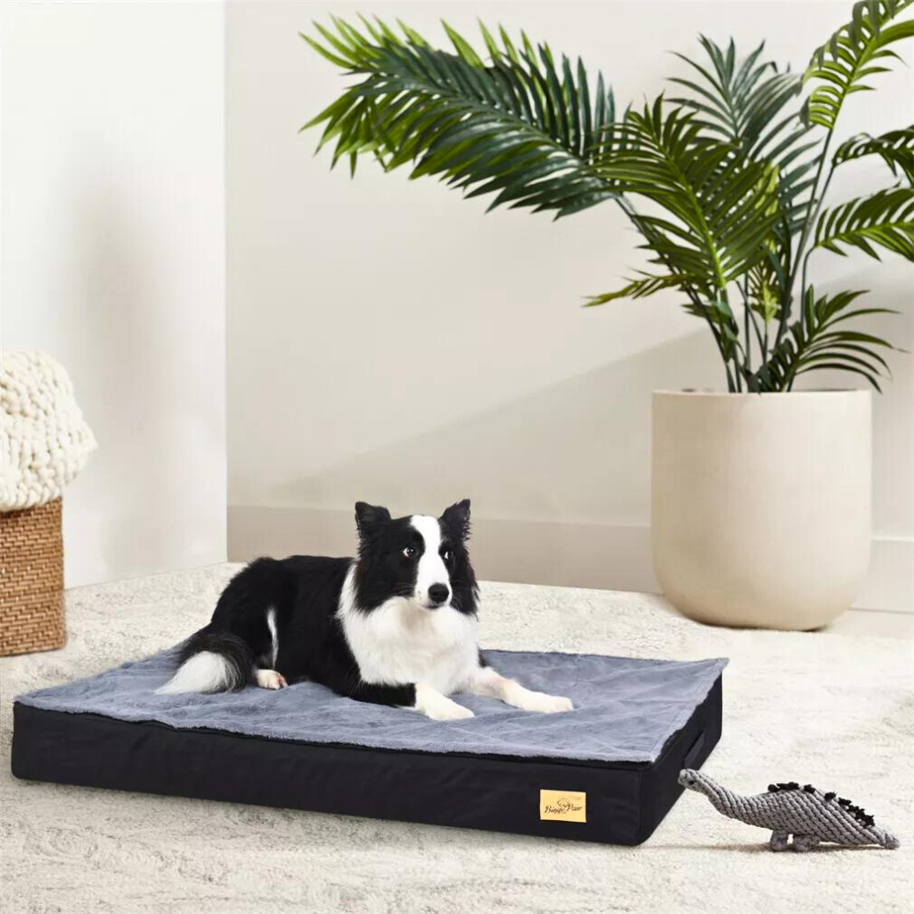 Washable Comfy Orthopedic Dog Bed