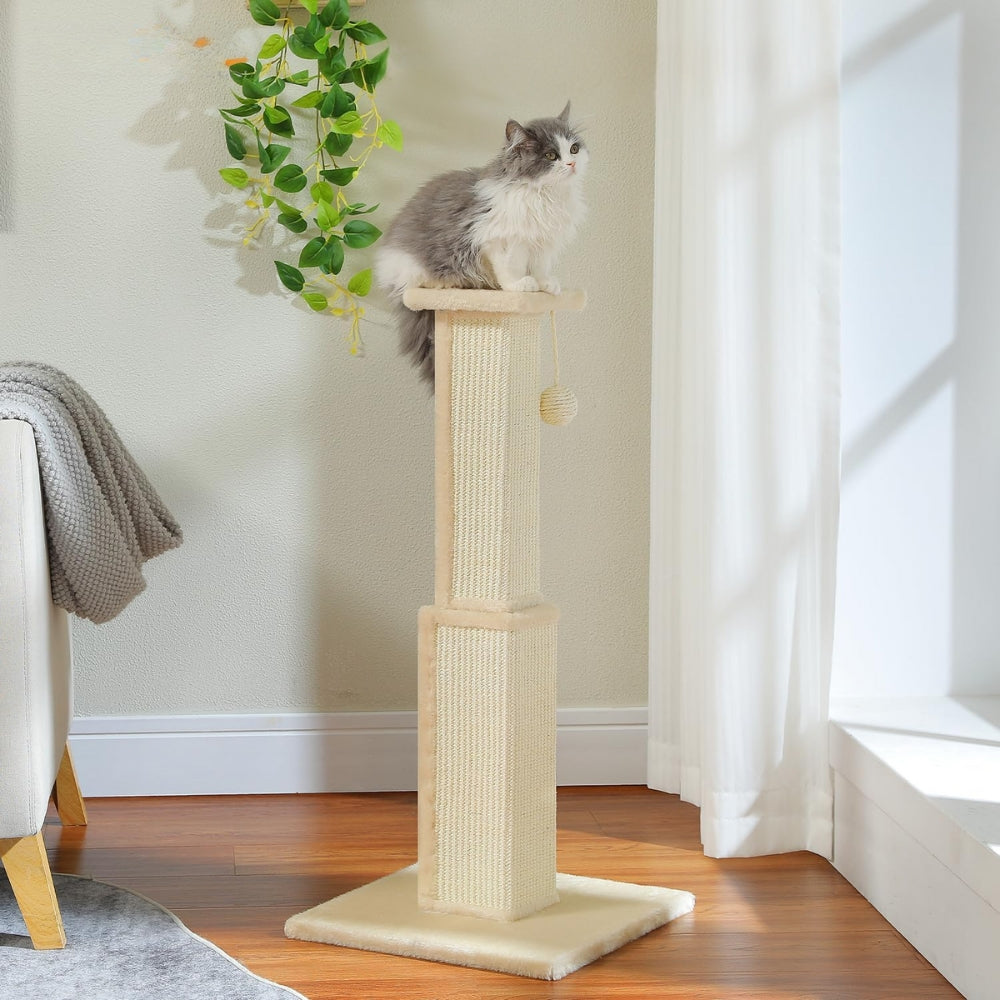 80CM Cat Scratching Post for Indoor Cat Scratcher