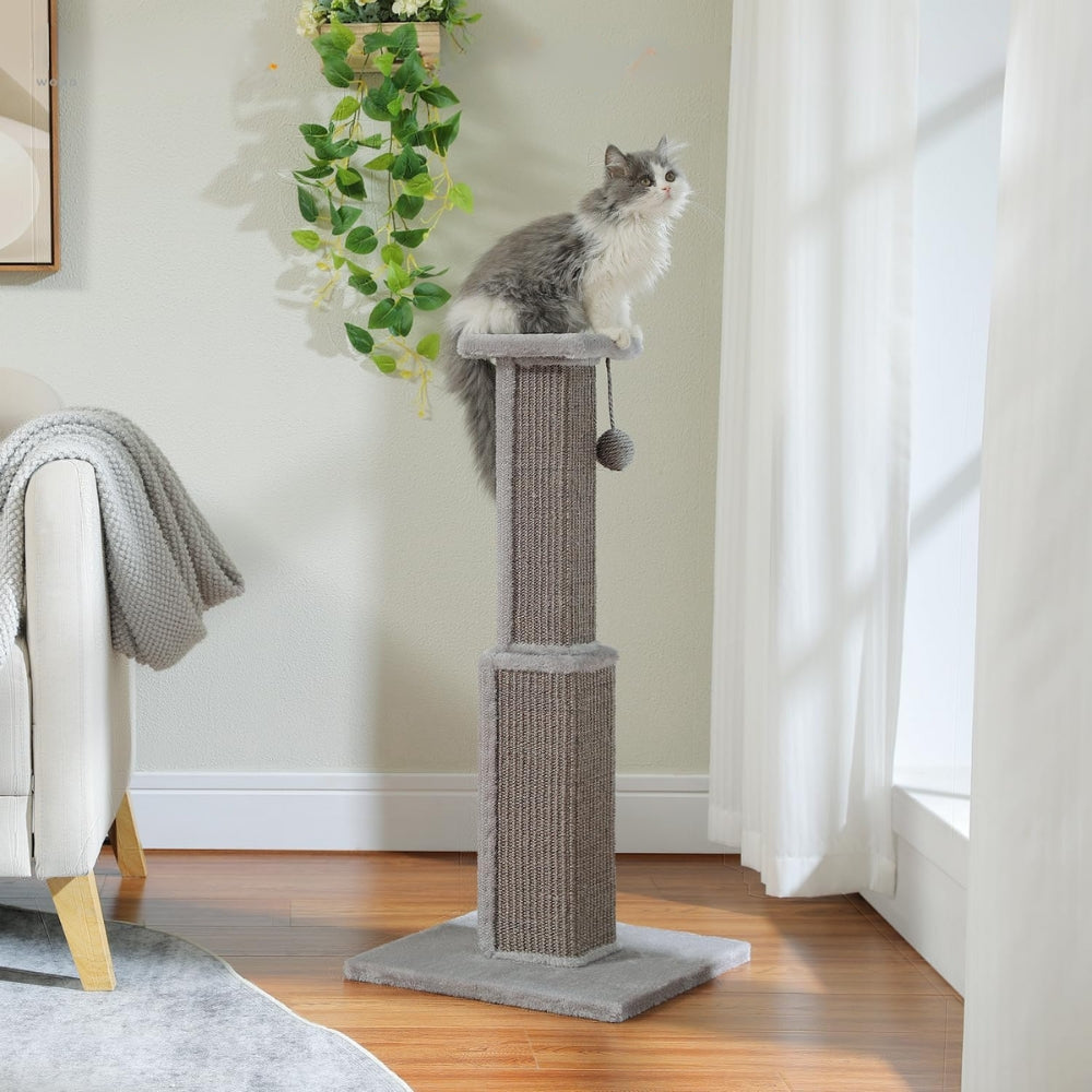 80CM Cat Scratching Post for Indoor Cat Scratcher