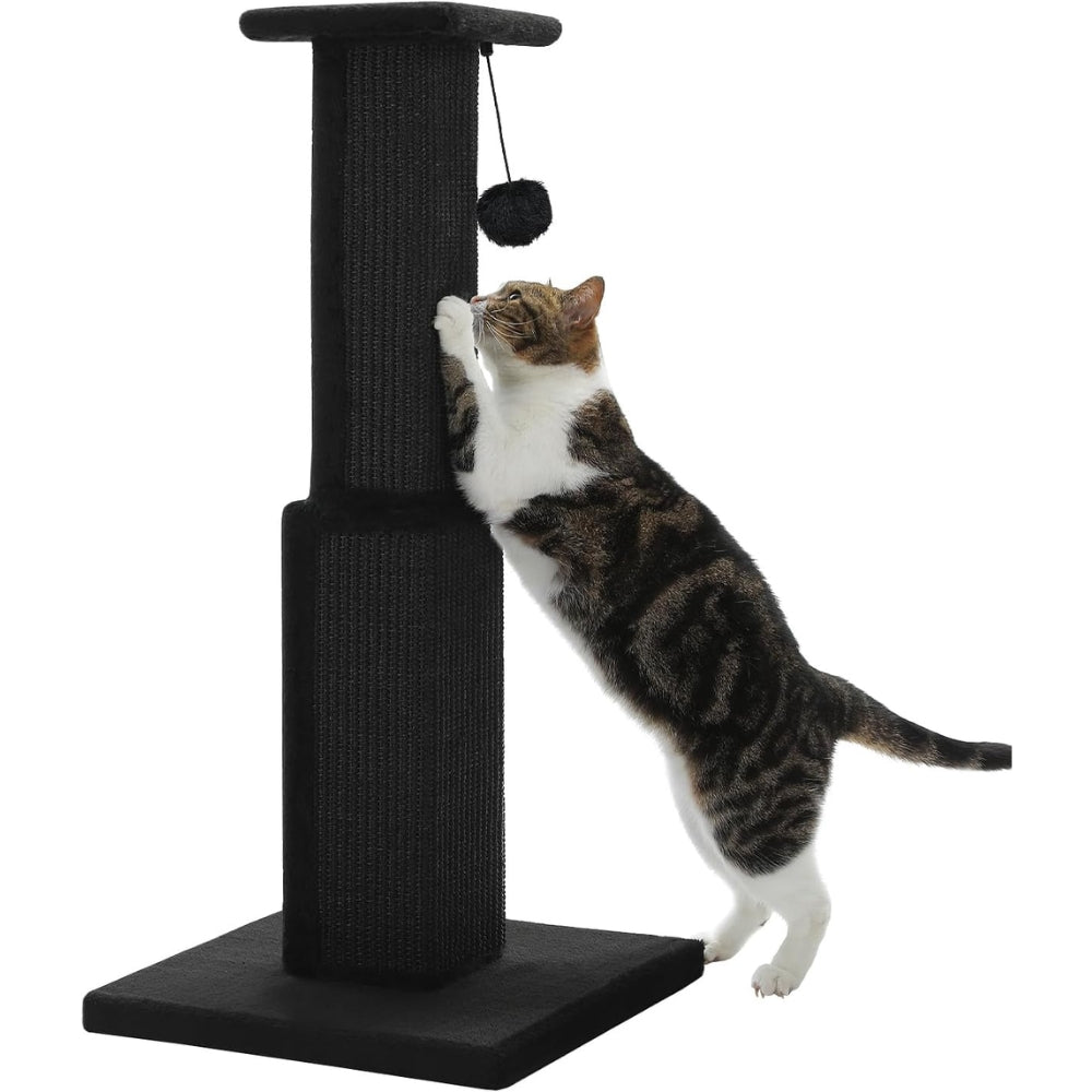 80CM Cat Scratching Post for Indoor Cat Scratcher