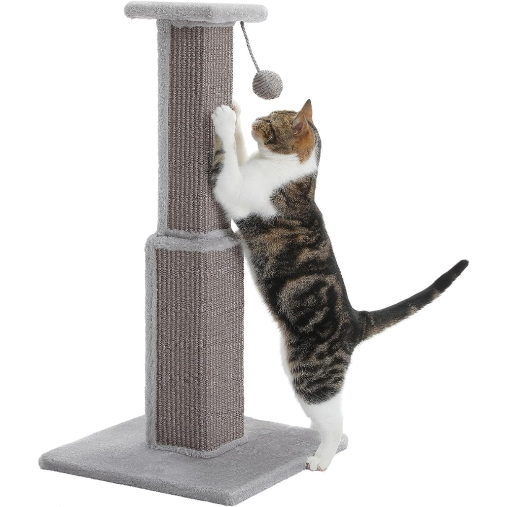 80CM Cat Scratching Post for Indoor Cat Scratcher