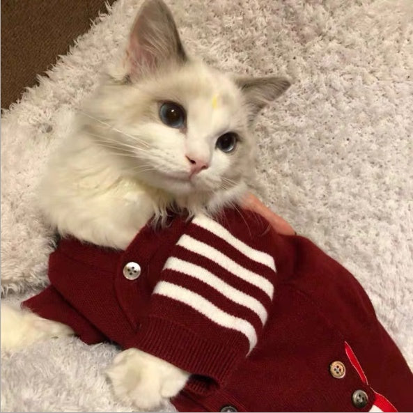 Knitted Cat & Dog Jumper
