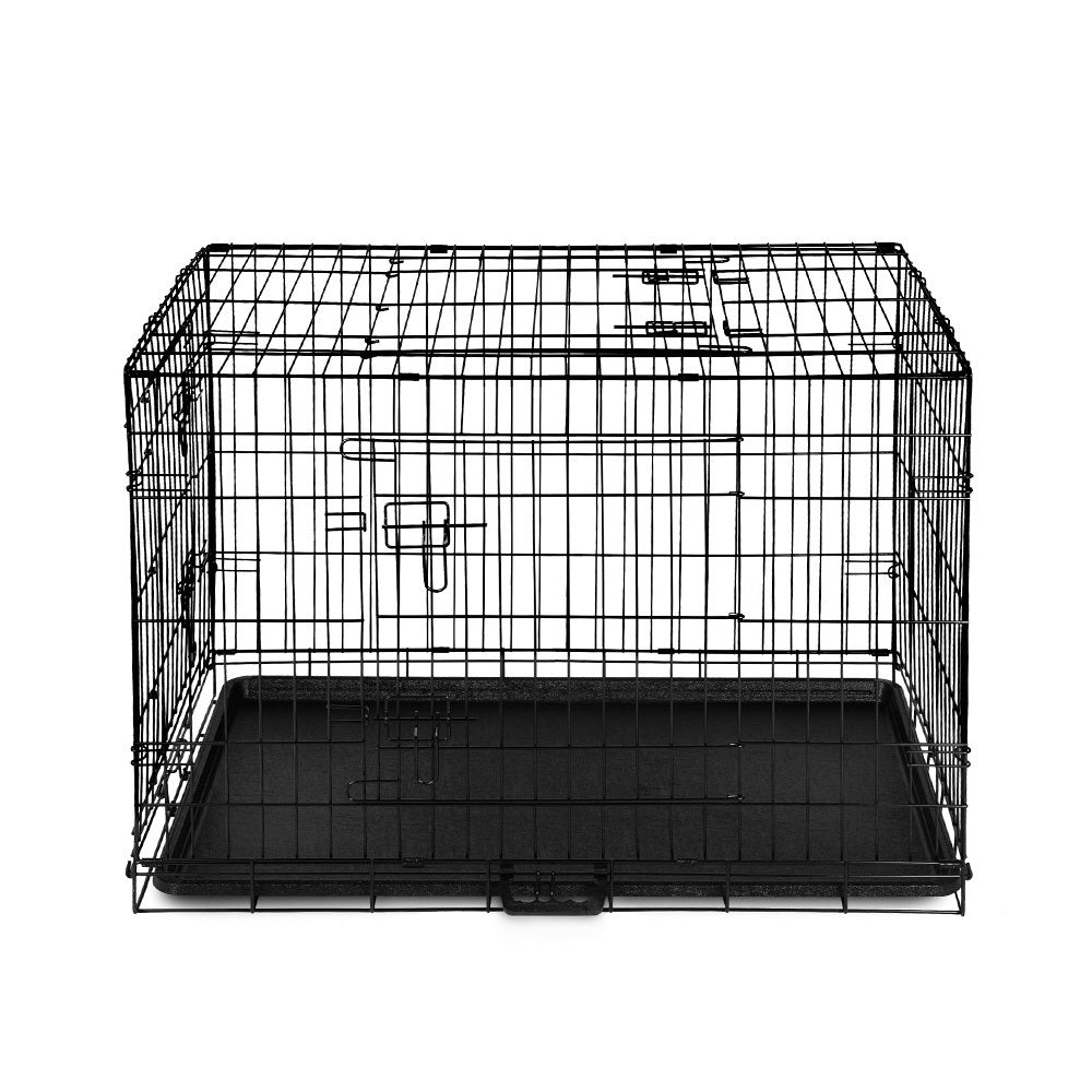 i.Pet 36