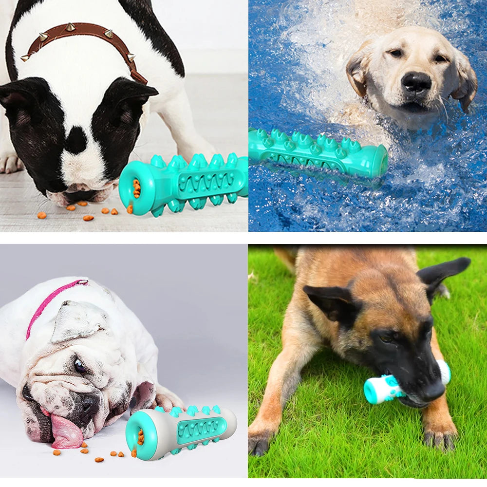 Large Dog Toothbrush Chew Toys Safe Bite Resistant