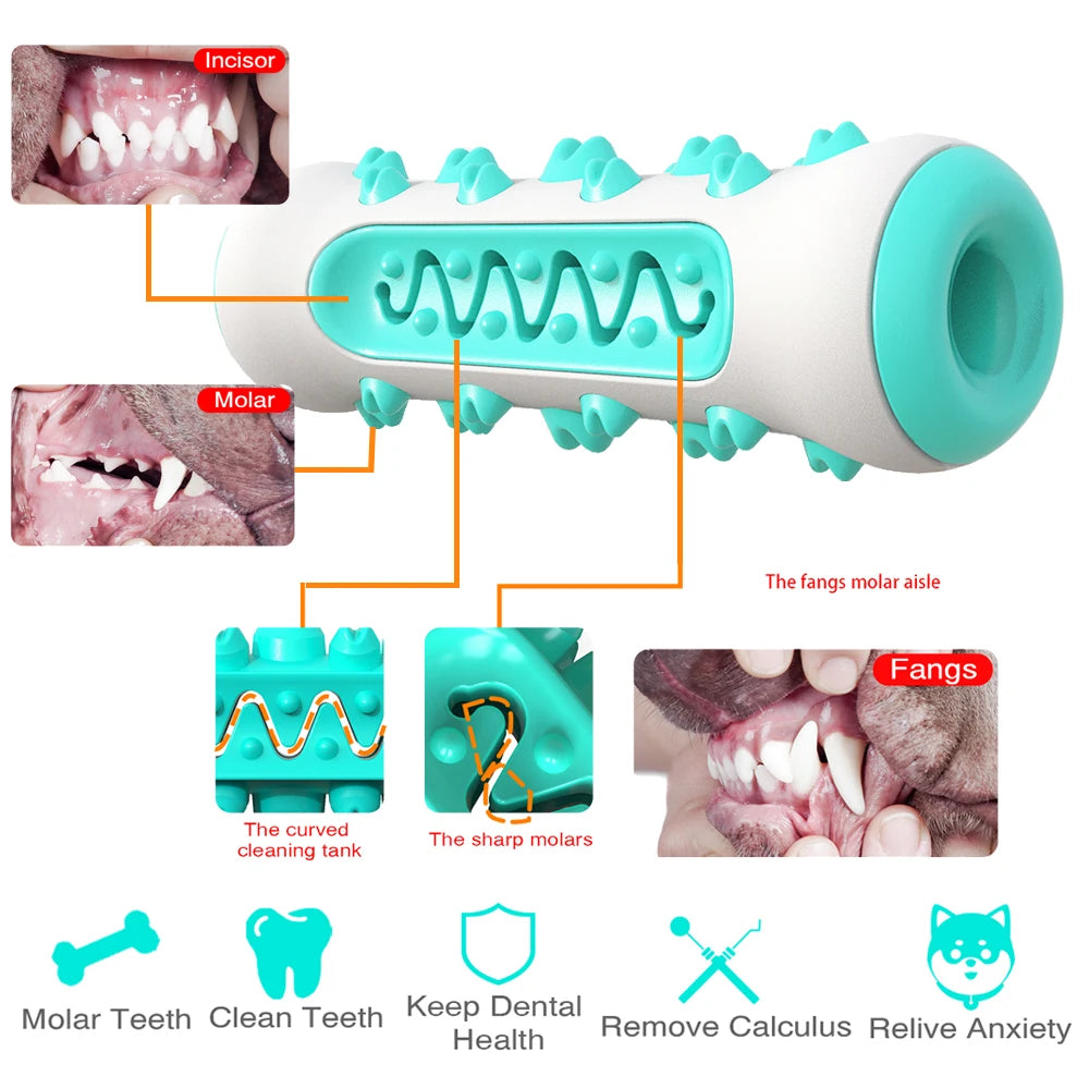 Large Dog Toothbrush Chew Toys Safe Bite Resistant
