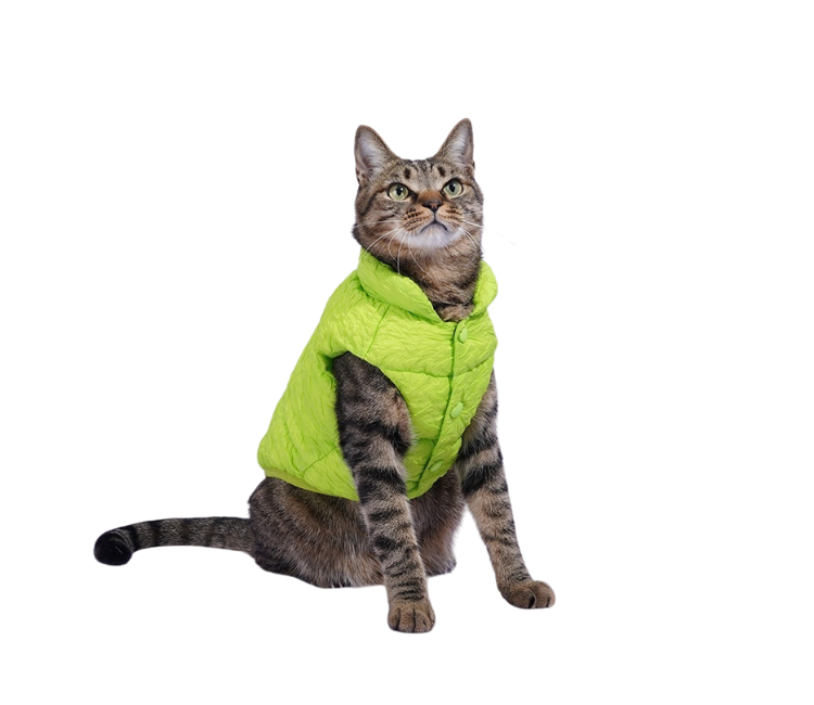 The Cat Vest
