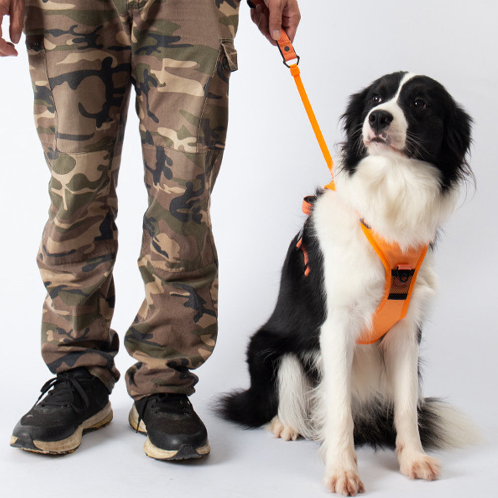 XL Vibe Geeks Ultimate 2-in-1 Reflective Harness Orange