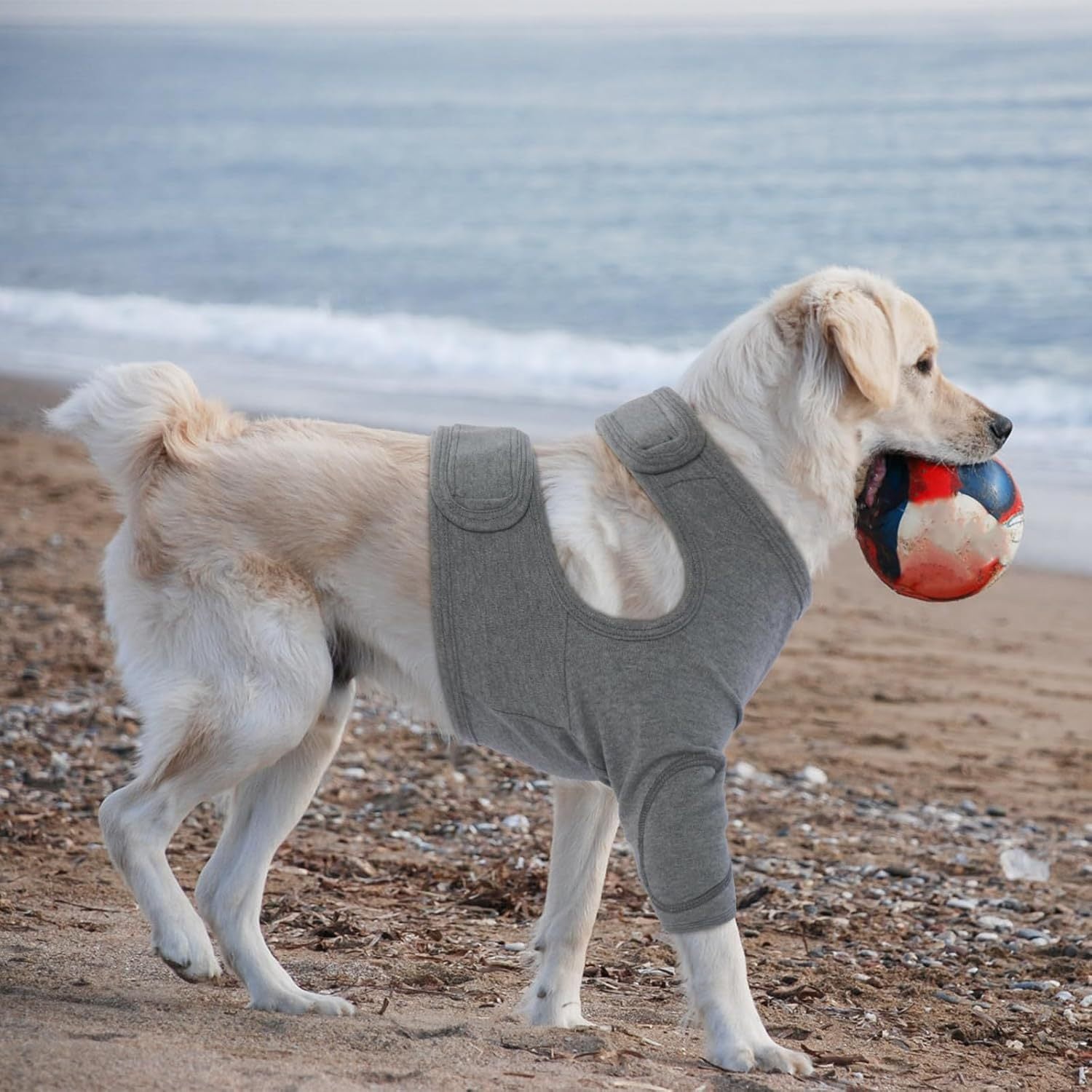 M Pet Front Leg Protective Sleeve - Elastic Dog Leg Guard