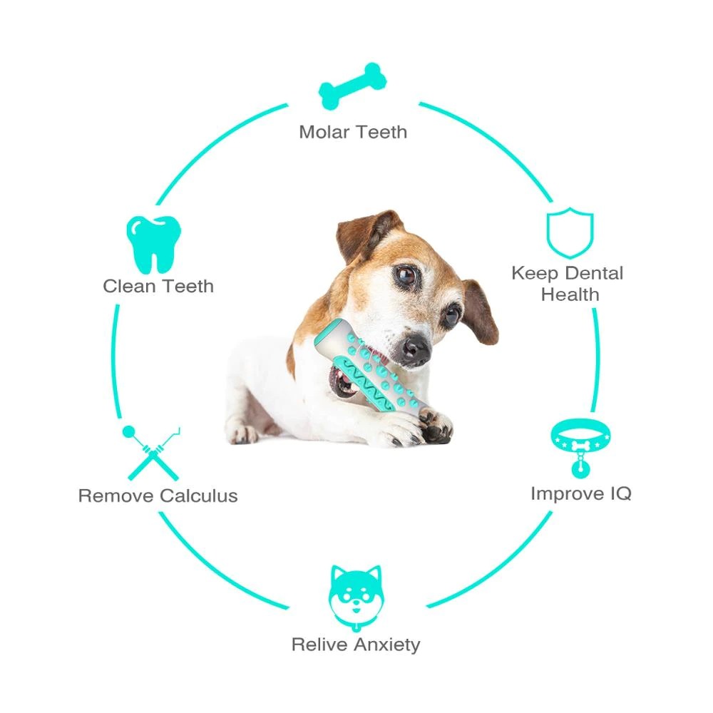 Blue Dog Squeaky Toys For Aggressive Chewers