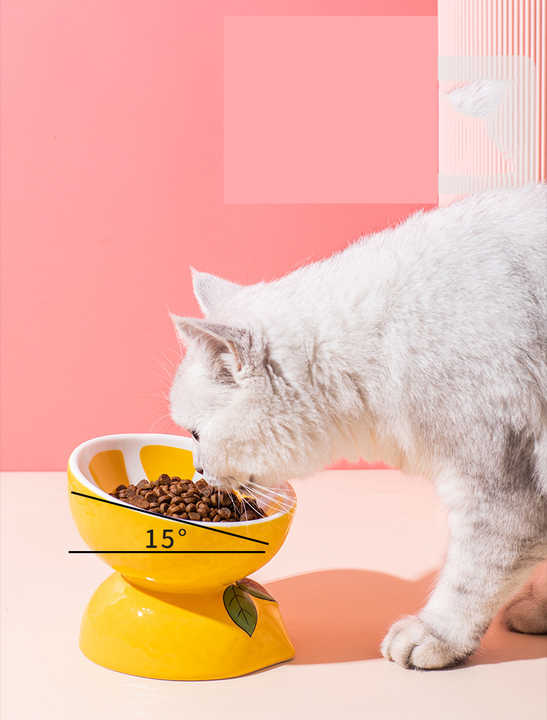 Banana Ceramic Elevated Pet Food Bowl