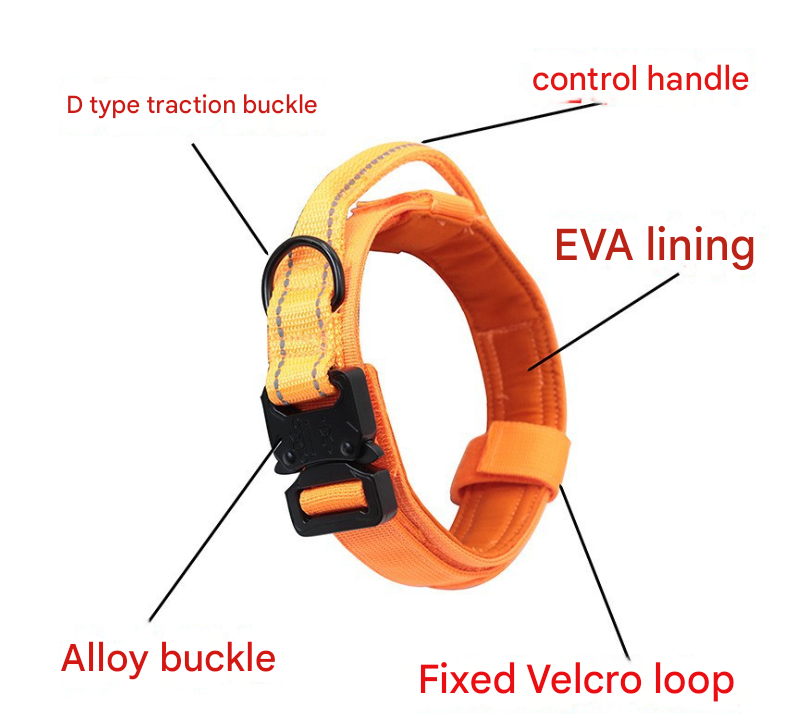 XL khaki Hands-Free Dog Leash with Adjustable Waist Belt