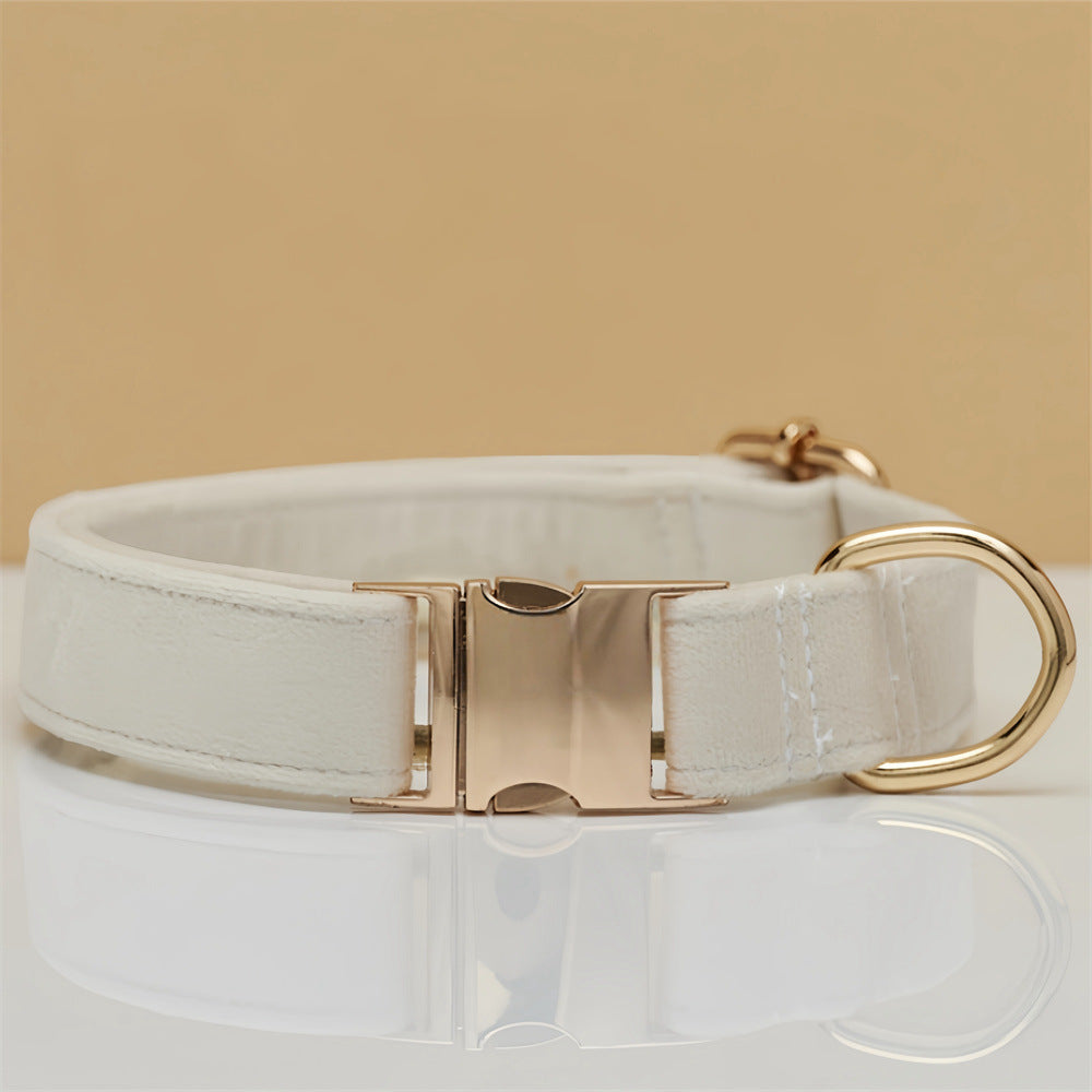 Beige Durable Dog Collar with Metal Buckle -M